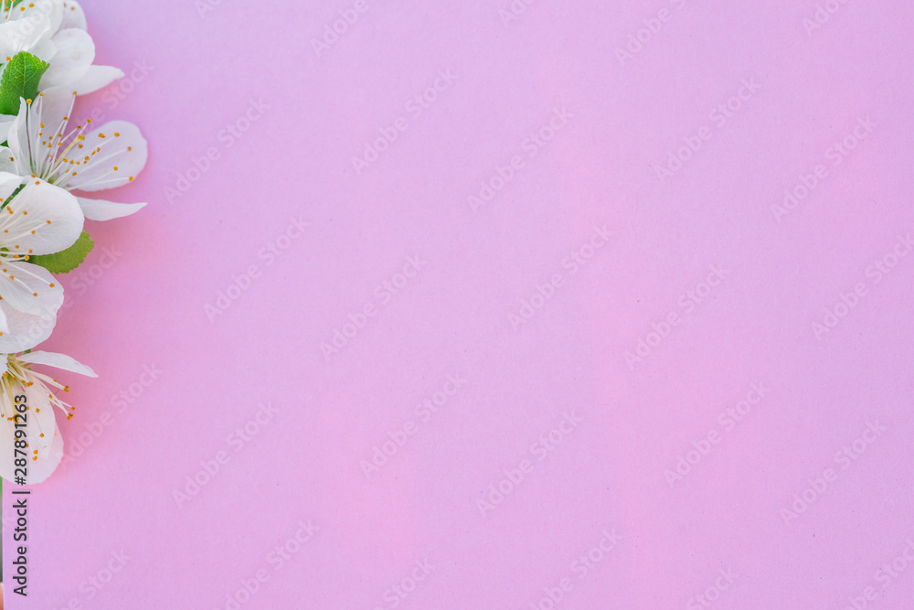 Violet paper blank and flowers of cherry tree on it. Violet paper blank and flowers of cherry tree on it.