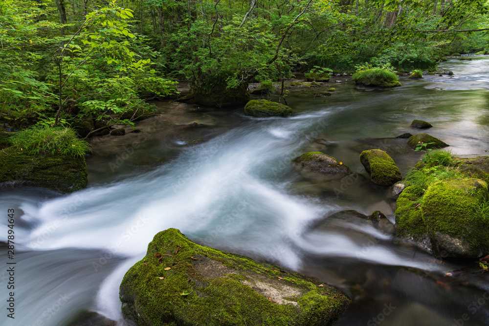 Refreshing Oirase mountain stream in autumn Refreshing Oirase mountain stream in autumn