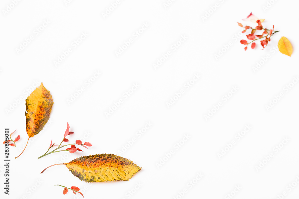 Autumn composition made of autumn dry multi-colored leaves on white background. Autumn, fall concept. Autumn composition made of autumn dry multi-colored leaves on white background. Autumn, fall concept.