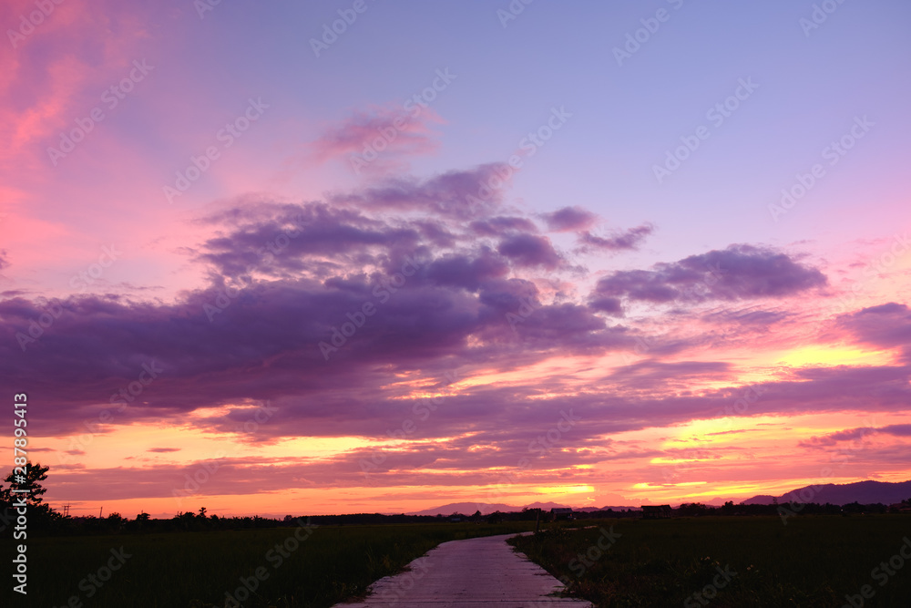 Silhouette of rice field,sunset color full