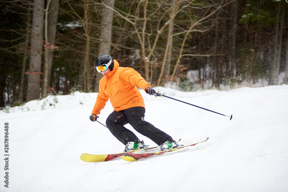 Adult man skiing and bending on side for doing turning. Dark view of forest along the mountain slope on background. Concept of healthy lifestyle and active winter outdoors pastime in wild nature area