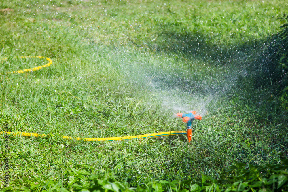 Naklejka premium sprinkler for watering grass
