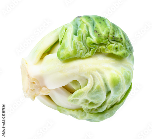 single fresh brussels sprout cut out on white