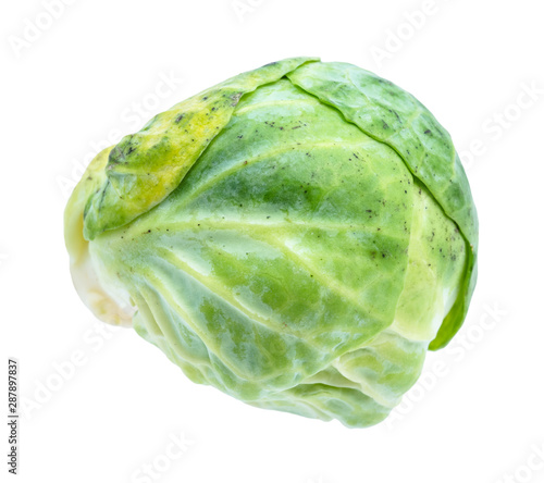 green fresh brussels sprout cut out on white