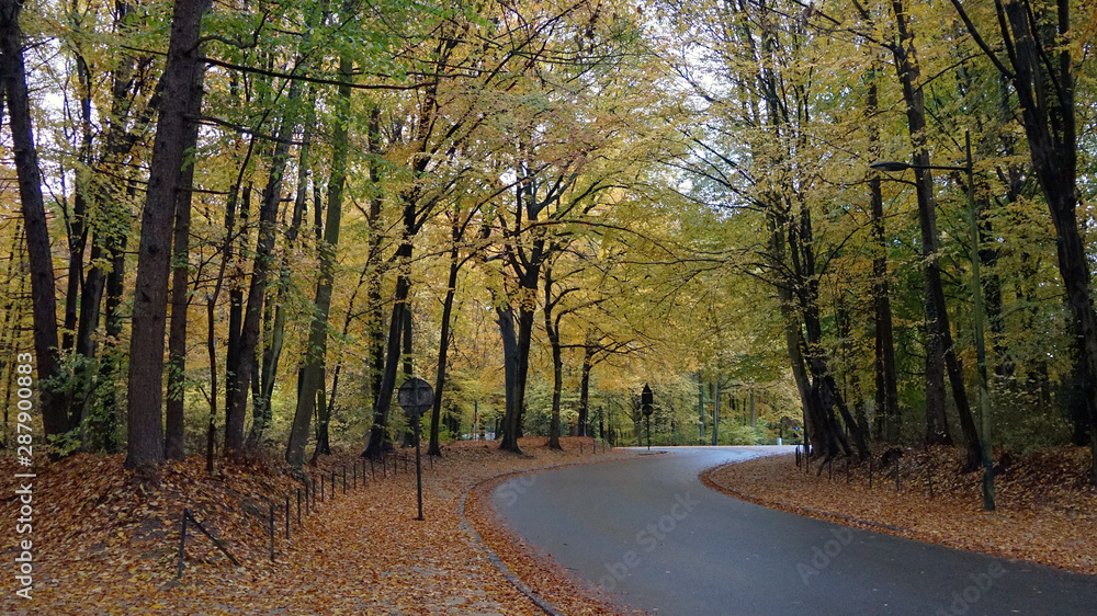 Obraz premium Autumn road in Bruxelles