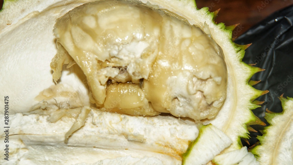 Close up durian flesh yellow white .Tropical fruit. Close up durian flesh yellow white .Tropical fruit.