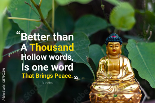 Better than a thousand hollow words, is one word that brings peace - buddha (2) photo