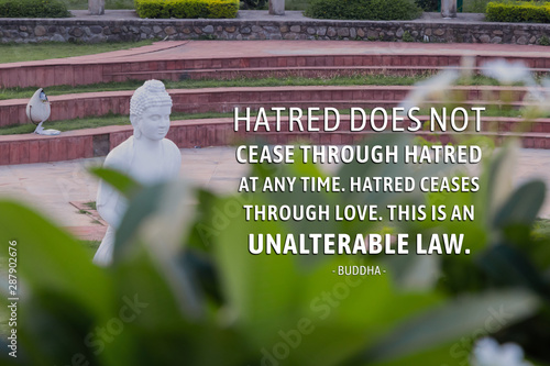 Hatred does not cease through hatred at any time. Hatred ceases through love. This is an unalterable law - buddha