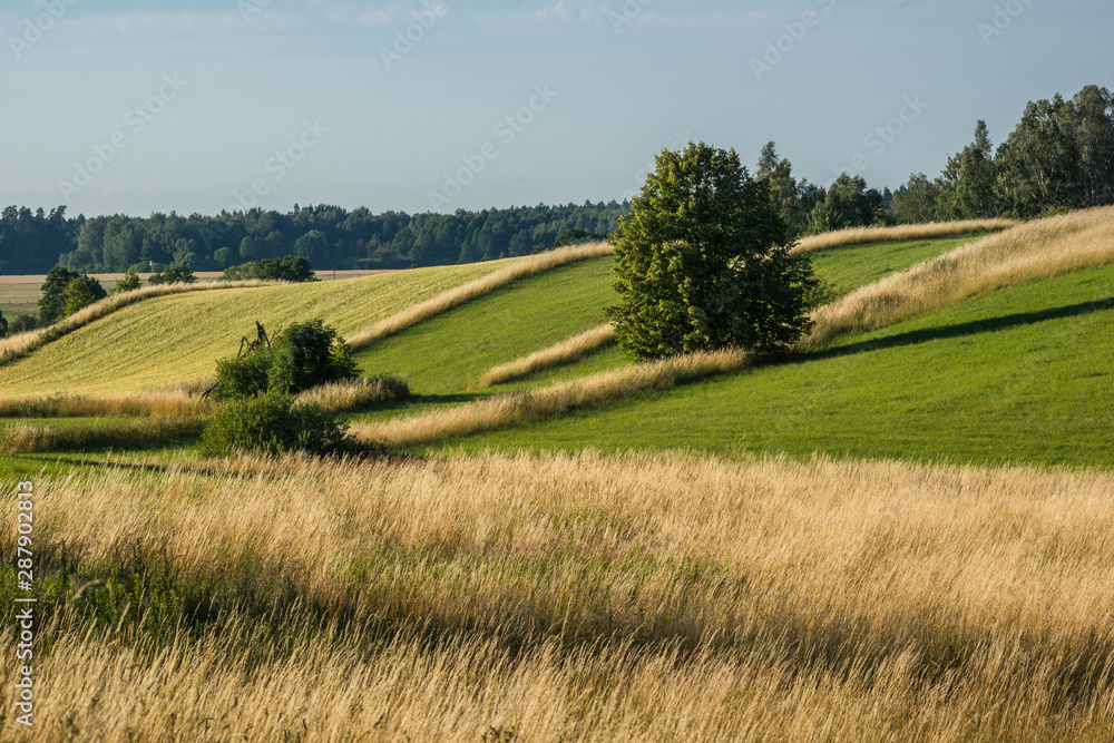 Masurian meadows and fields near Banie Mazurskie, Masuria, Poland