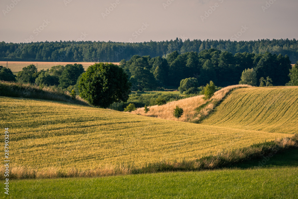 Masurian meadows and fields near Banie Mazurskie, Masuria, Poland