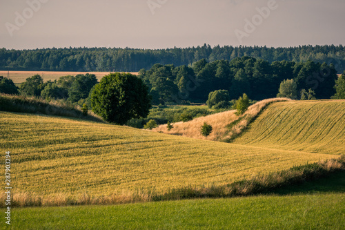 Obraz na płótnie Masurian meadows and fields near Banie Mazurskie, Masuria, Poland w salonie