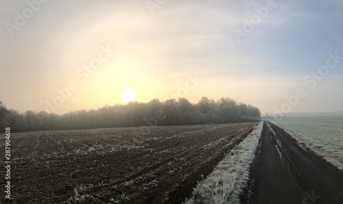 zimowe widoki - szron na polu i spacer z psem © Pawel