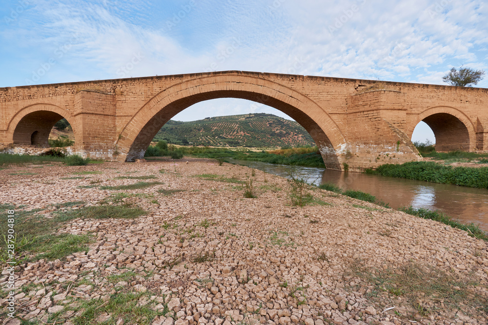 Puente Ariza sobre Embalse de Giribaile, Ubeda. Jaén