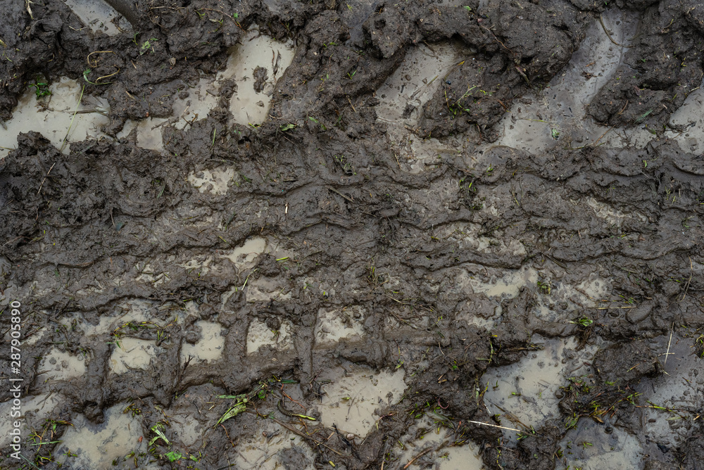 Fototapeta premium Wet track from tractor wheel baked in mud on field road