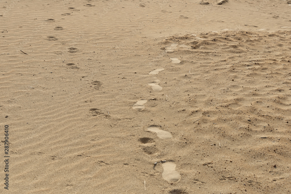 Two tracks of footprints on clear sand reflecting differently in the sun Two tracks of footprints on clear sand reflecting differently in the sun