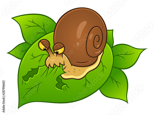 Snail pest eating leaves
