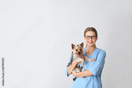 Veterinarian with cute dog on light background