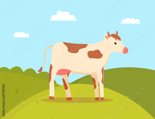Farming and agriculture vector, cow on pasture green grass and hills, meadow with food for animal, ranch and breeding of cattle, character on nature. Flat cartoon