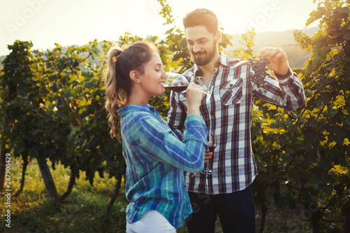Woman and man in vineyard drinking wine © NDABCREATIVITY