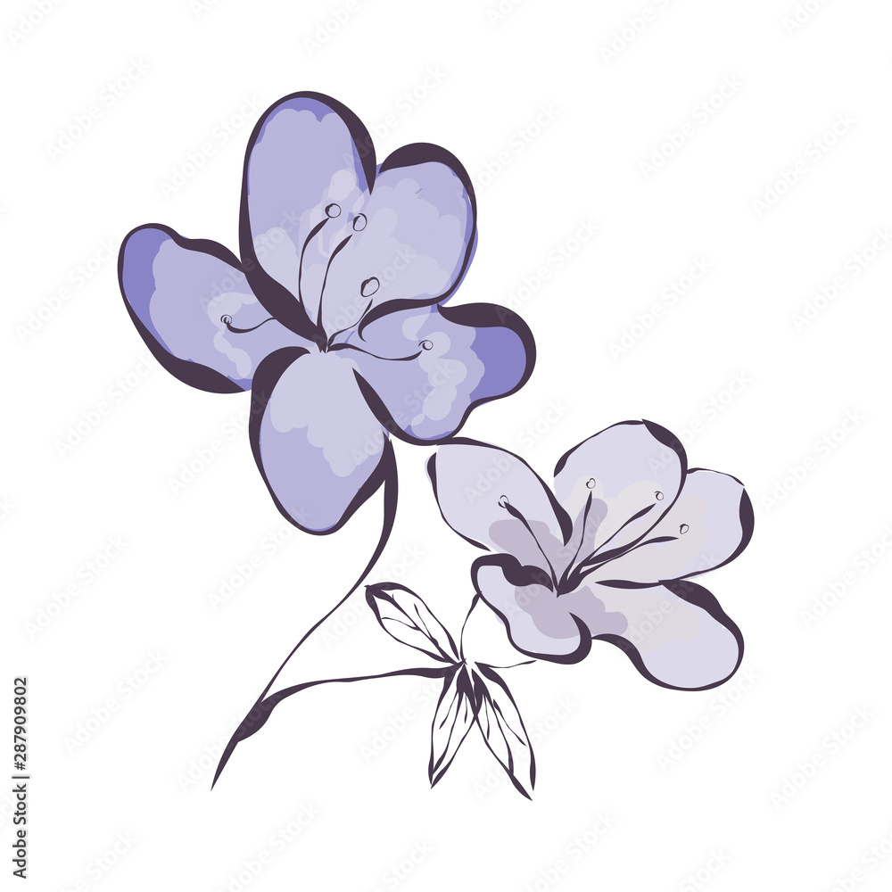 Fototapeta premium Azalea. Flower. Graphics. Drawing for advertising, logos. Stylization: watercolor.