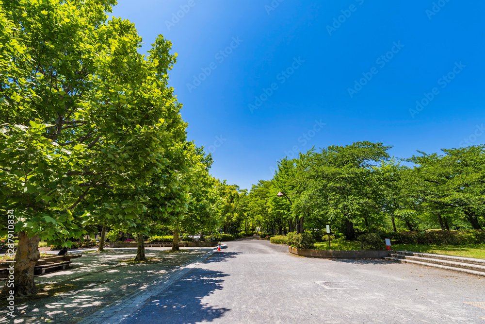 新緑の猿江恩賜公園の風景