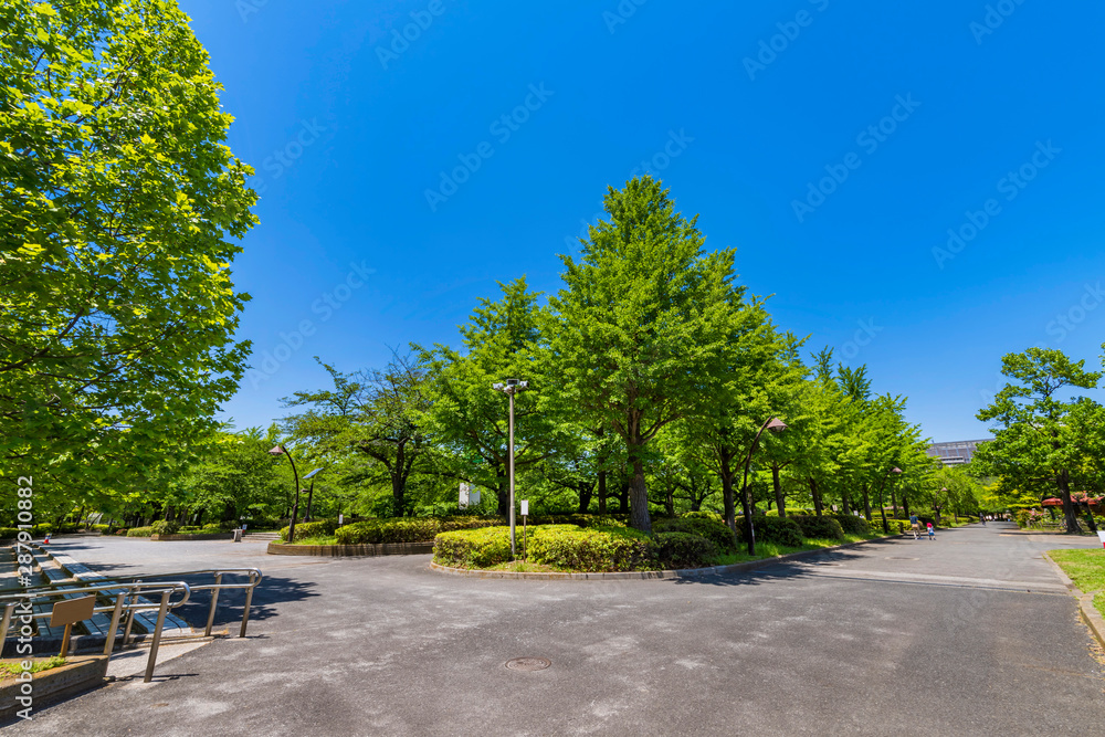 新緑の猿江恩賜公園の風景