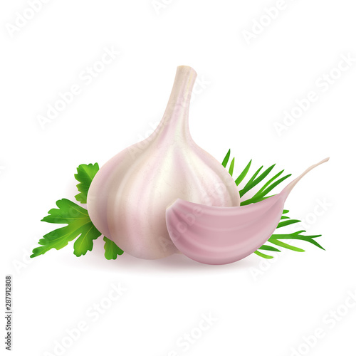 Head and clove of garlic composition