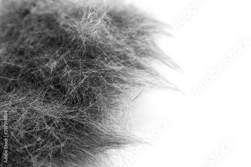 Fotótapéta Macro Image of Black and White Cat Hair Collected After Grooming Session