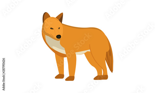 Beautiful single Fox vector