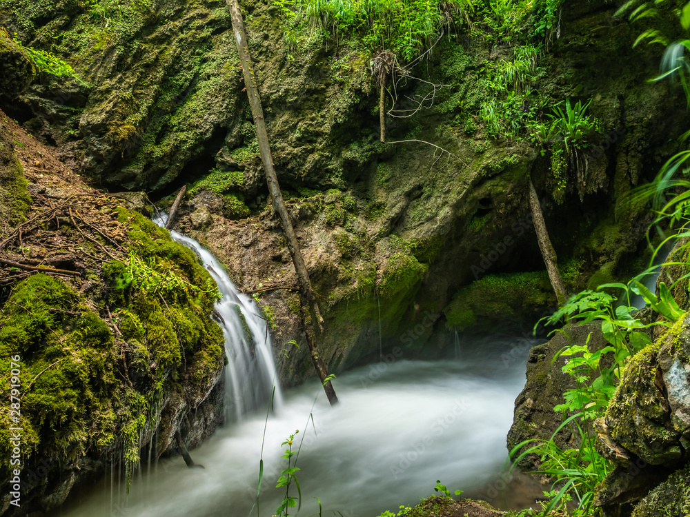 Forest mountain waterfall in summer