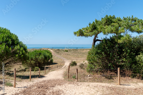 Beach access to the atlantic Sea in Vendee Noirmoutier island