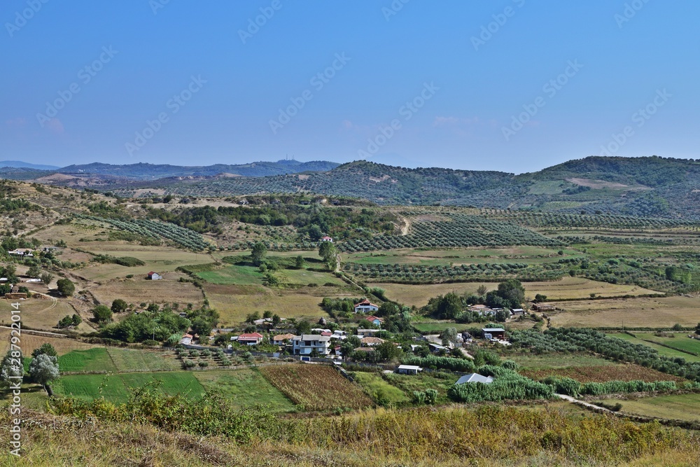 Hügellandschaft mit Olivenbäumen Nähe Apollonia, Albanien