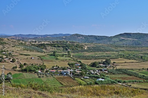 Hügellandschaft mit Olivenbäumen Nähe Apollonia, Albanien