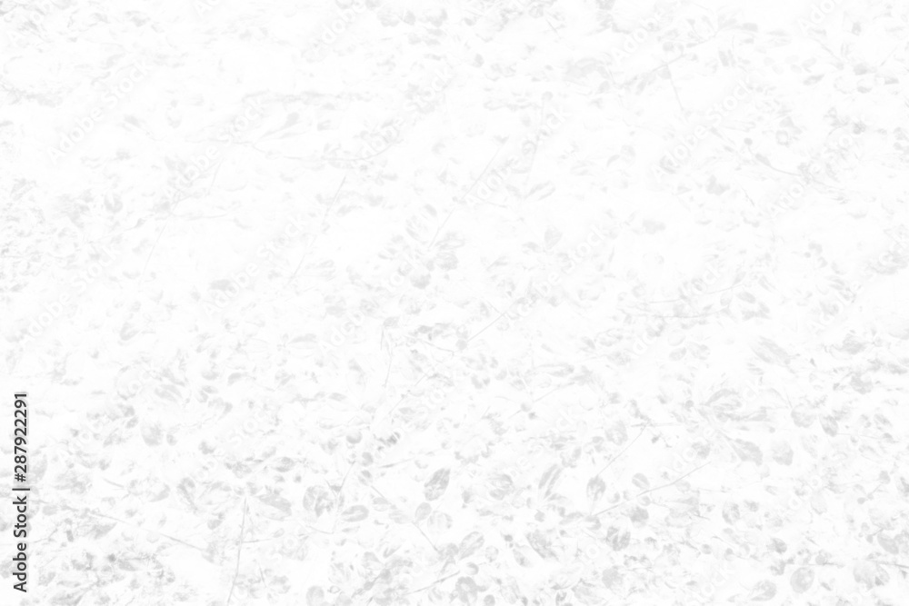 White Leaves Plant in Fossil Style on Concrete Wall Texture Background. White Leaves Plant in Fossil Style on Concrete Wall Texture Background.