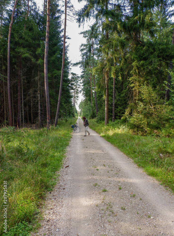 Fototapeta premium Frau steht auf einem Waldweg