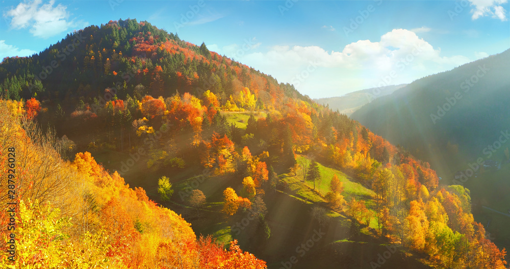 Schwarzwald im Herbst - obrazy, fototapety, plakaty 