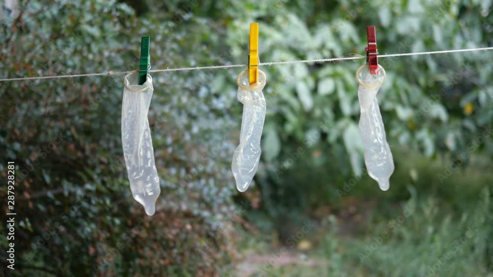 Transparent latex condoms hang on clothesline in backyard of house, attached with clothespins and swing in light breeze. Maybe they were washed to be used again. Outdoors. Transparent latex condoms hang on clothesline in backyard of house, attached with clothespins and swing in light breeze. Maybe they were washed to be used again. Outdoors.