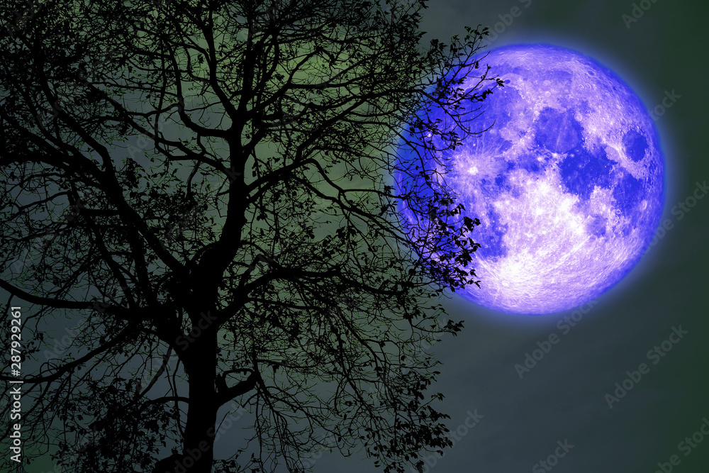 Naklejka premium buck moon on night sky back over silhouette dark forest