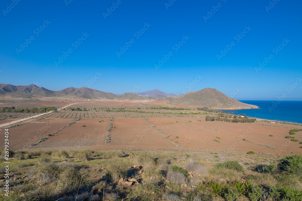 scenic of fields next to Genoveses beach in Gata Cape Natural Park in Nijar (Almeria, Andalusia, Spain, Europe)