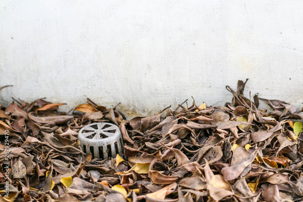 Foto Stock Many dry leaves clogged the drain, causing water to leak