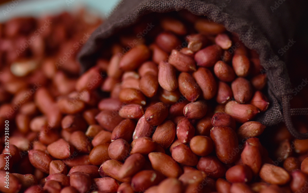 groundnuts fresh raw peanuts without shell groundnuts fresh raw peanuts without shell