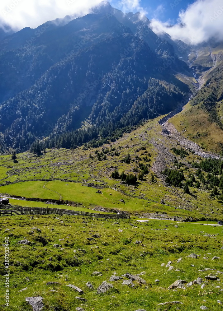 Hochalpine Almwiese im Sellraintal, Österreich