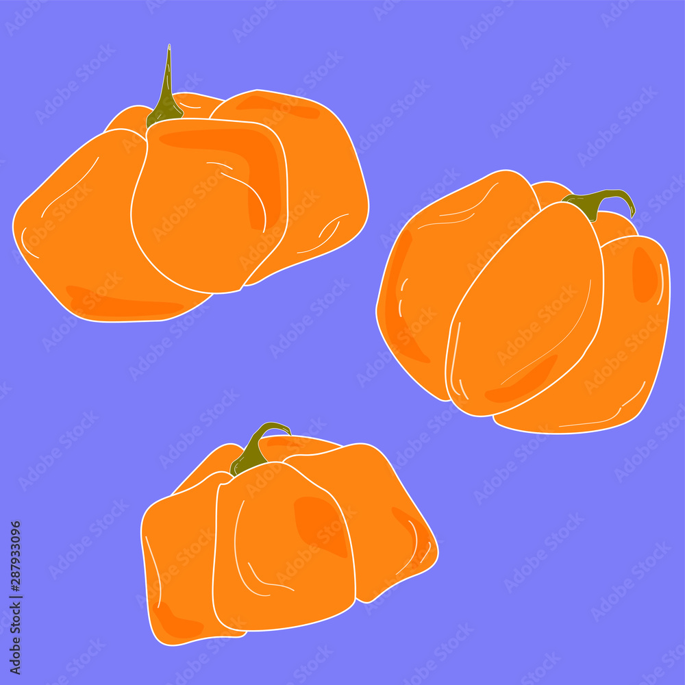 Set of pumpkins for Halloween. Three different pumpkins on a blue background. Halloween celebration. Simple vector of pumpkins.