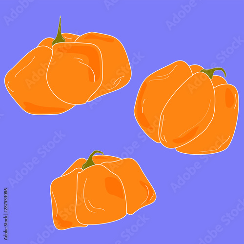 Obraz na płótnie Set of pumpkins for Halloween. Three different pumpkins on a blue background. Halloween celebration. Simple vector of pumpkins. w salonie