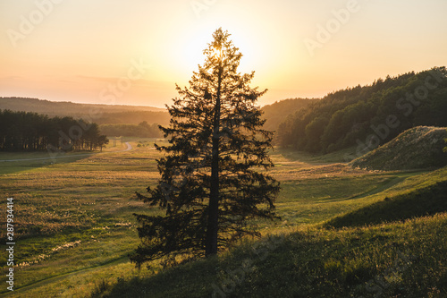 Setting sun shines through the branches of a tree during golden hour in a rustic Lithuanian countryside photo