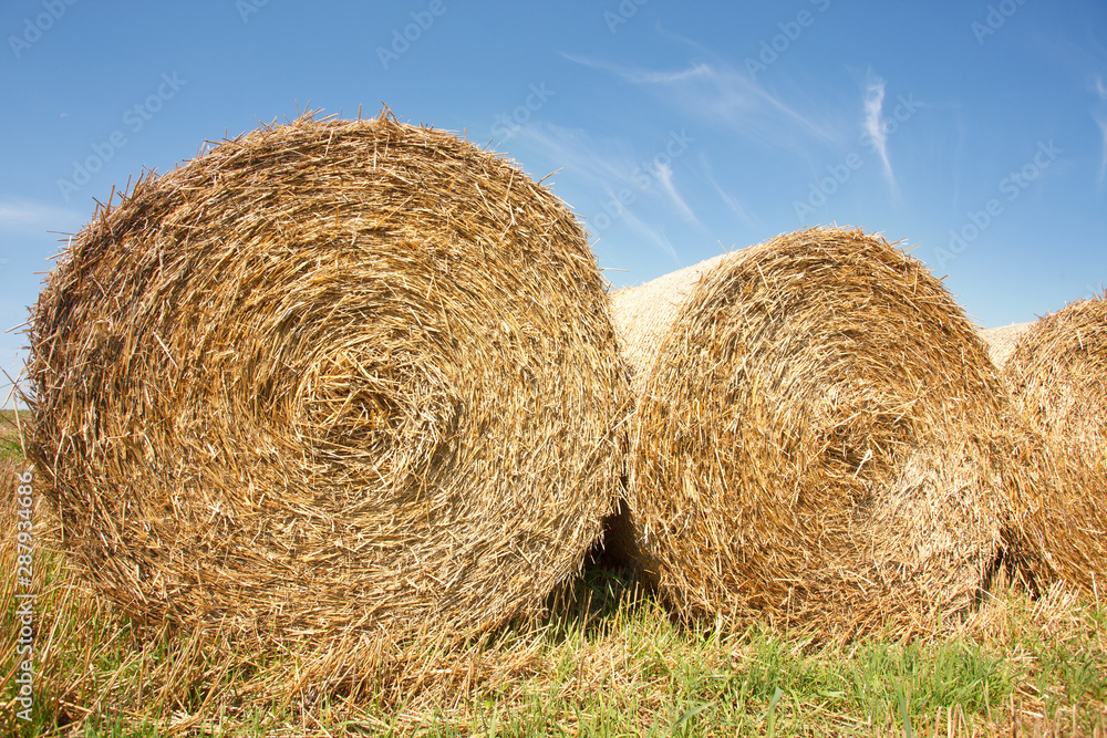 the field after summer harvest the field after summer harvest