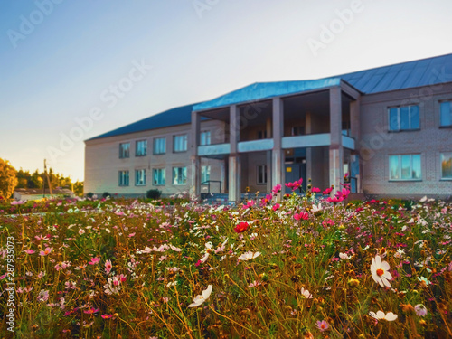 A small meadow with an abundance of paint colors in front of the administrative building