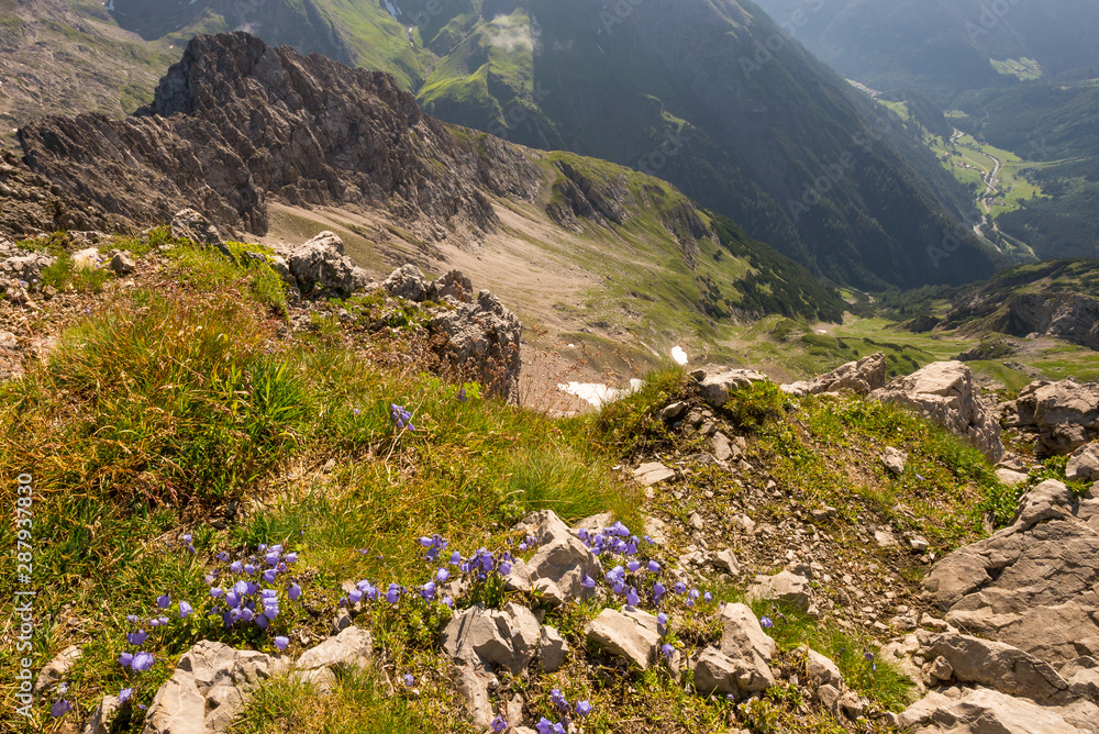 Fototapeta premium Mountain Alps
