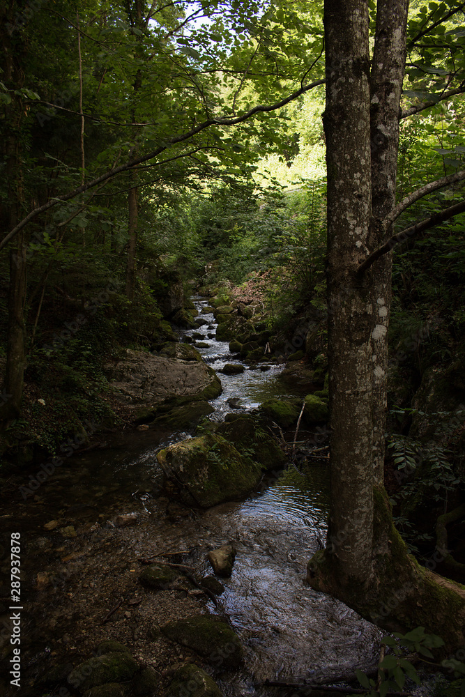 Obraz premium Waterfalls and Slopes. Myra Falls ,in the Muggendorf in Lower Austria