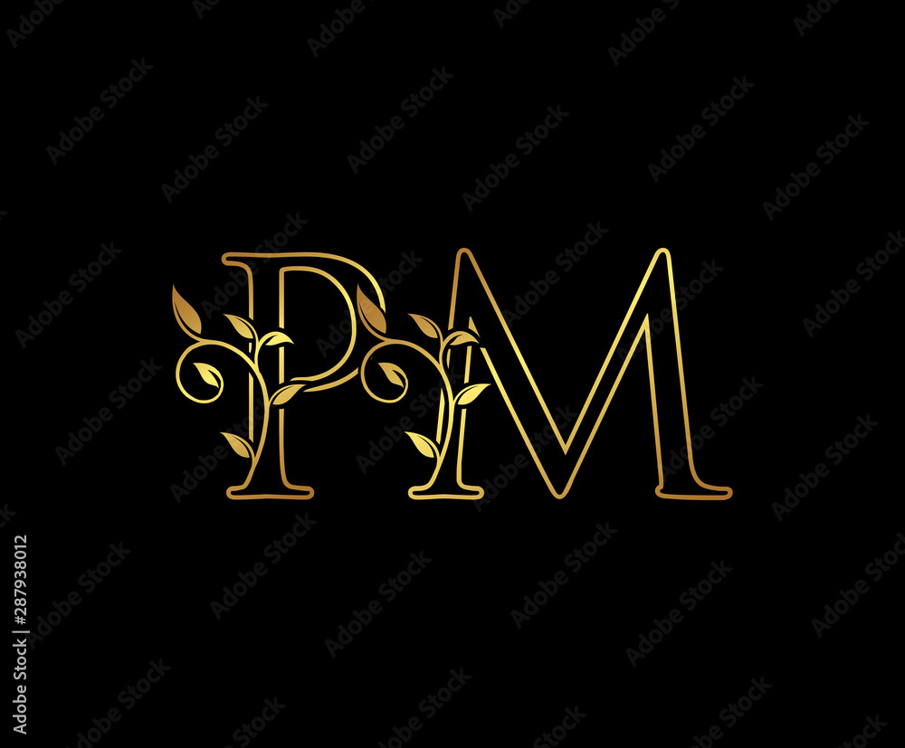 Initial letter P and M, PM, Gold Logo Icon, classy gold letter
